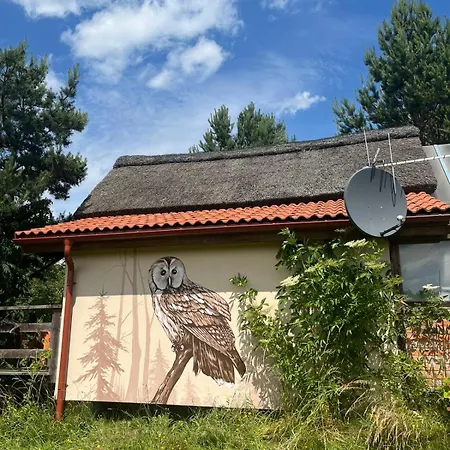 Ferienhaus Ptasia Osada Gardna Wielka
