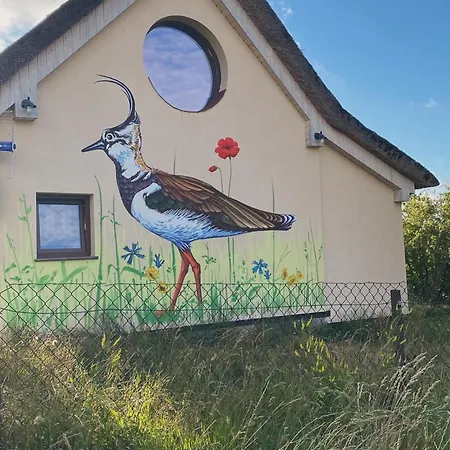Ptasia Osada Ferienhaus