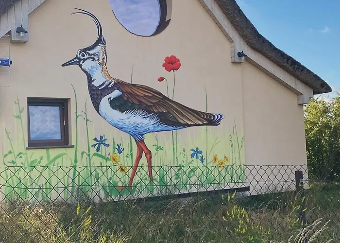 Ptasia Osada Ferienhaus